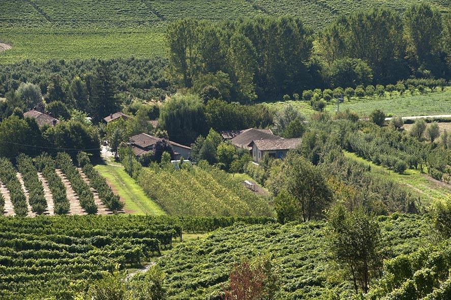 Cascina Ballarin Villa La Morra Exterior foto