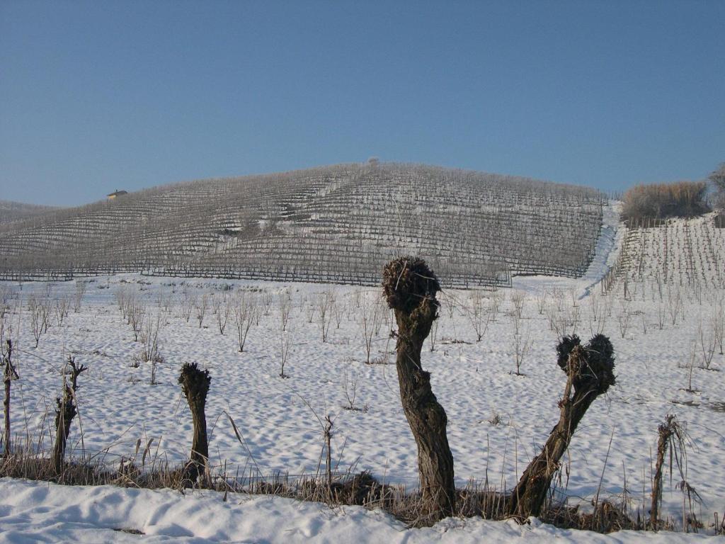 Cascina Ballarin Villa La Morra Exterior foto